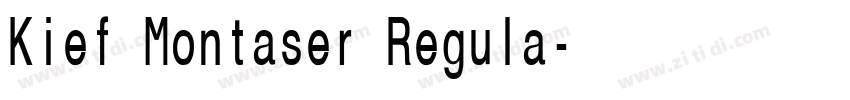 Kief Montaser Regula字体转换